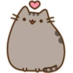 pusheen